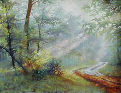 Forest Landscape