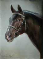 black horse
